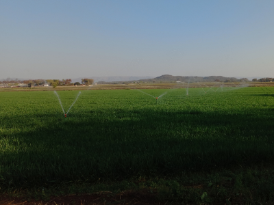 Afriq Water Quick Coupling Sprinkler Irrigation